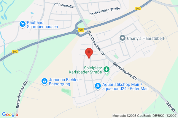 Bündnis 90 - Die Grünen, Grünes Büro