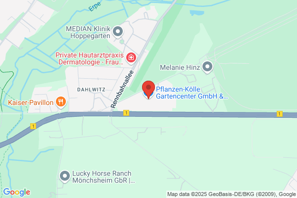 Bäckerei-Konditorei Wulff Fil. Pflanzen-Külle