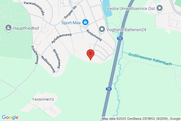 Baumfällung Hermsdorf