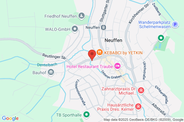 Pfänder Bau