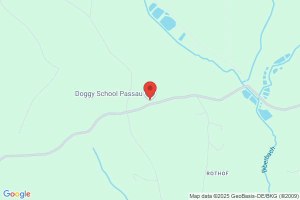 Doggyschool