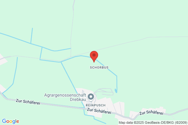 Revier Cottbus und Stadtheide der Oberförsterei Cottbus