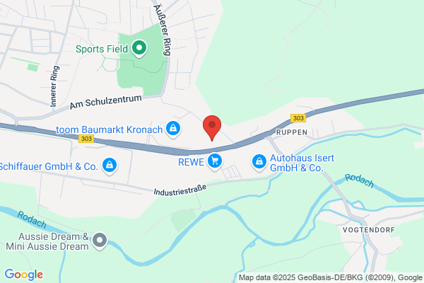 SRP Schneider & Partner Ingenieur-Consult GmbH