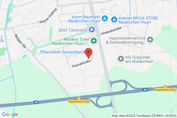 DFH Internet Dienstleistungen