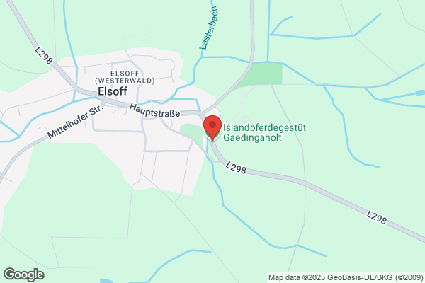 Islandpferdegestüt Gaedingaholt