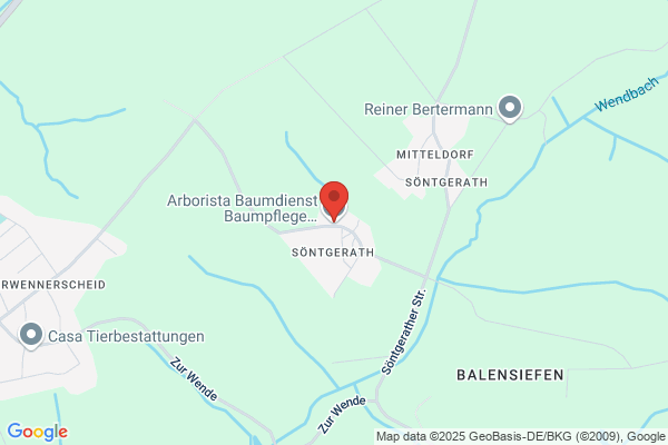 Arborista Baumdienst Baumpflege Baumfällung Baumarbeiten