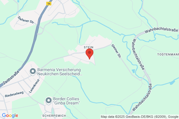 BRAINMENT Personal- u. Organisationsentwicklung Angelika K. Nickelsburg