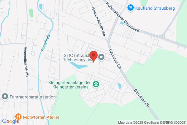 Buntspecht Copy - Shop