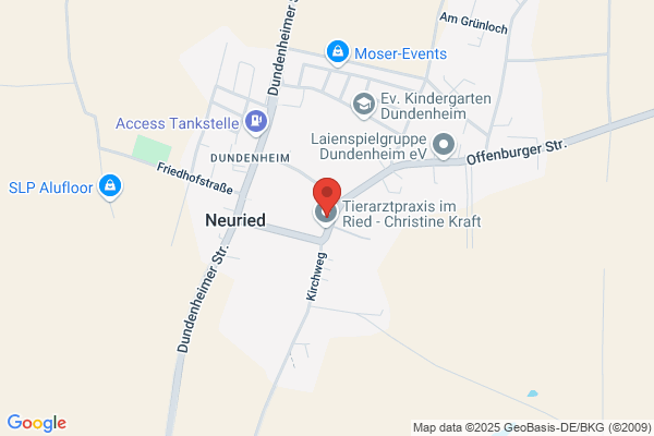 Dienstleistung 2000 Hausservice / Meisterbetrieb