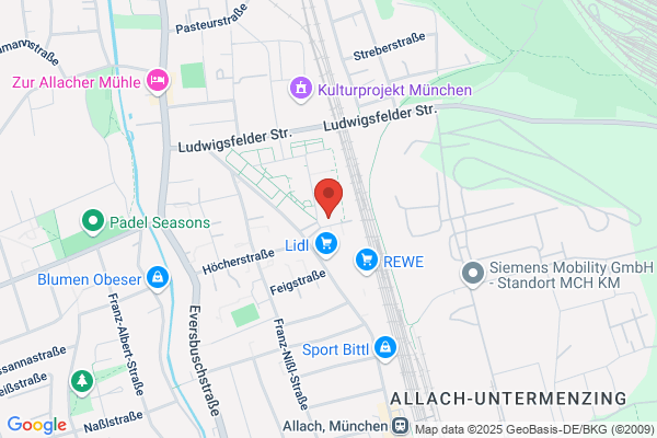 MST - Dienstleistungen