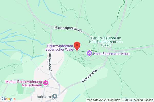 Baumwipfelpfad