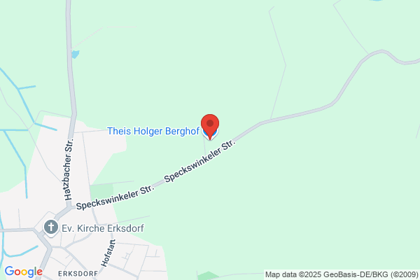 Holger Theis