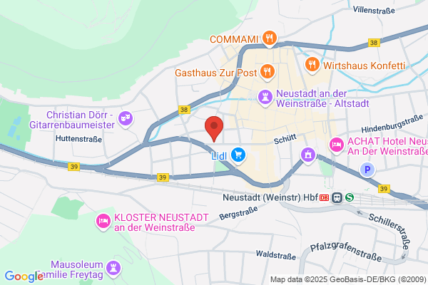 Faschingsverein Neustadt