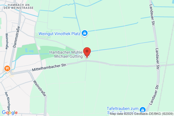 Gutting Michael GmbH