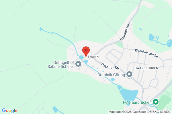 Eichhorn