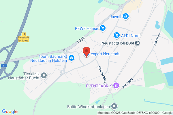 expert Neustadt