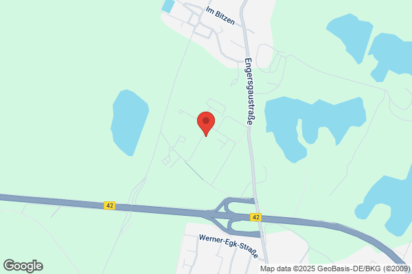 Geisen