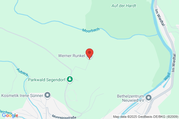 Werner Runkel