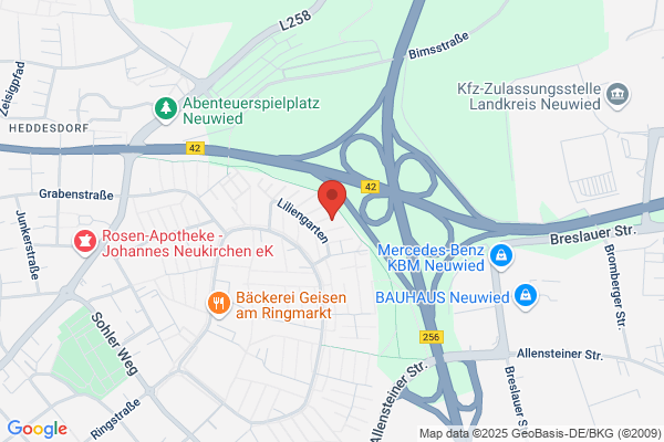 Stein Immobilien