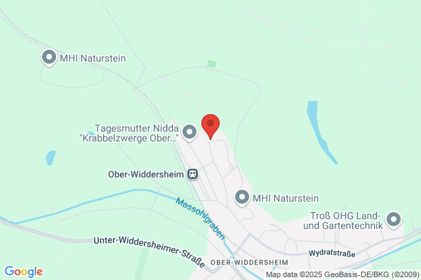 Baumfällung Eiser