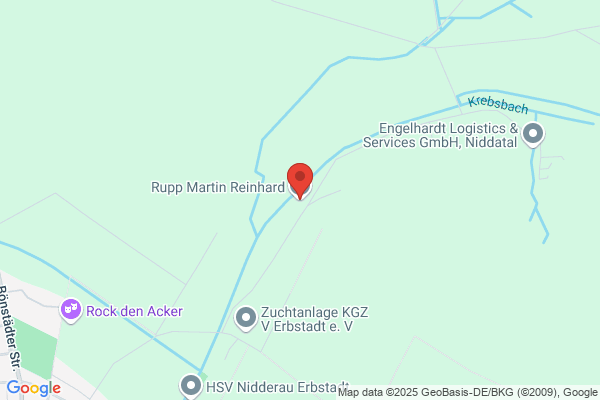 Martin Rupp, Reinhard Rupp