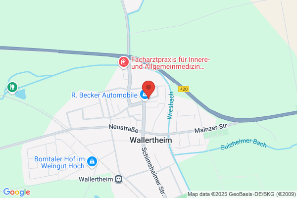 Tor-Service Esch
