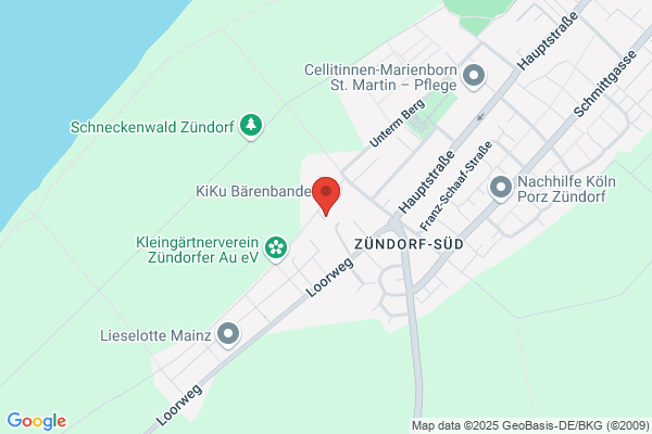 Car Clean Service - Miroslav Szepetowski