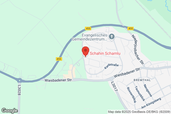 Dr. med. Schahin Schamlu