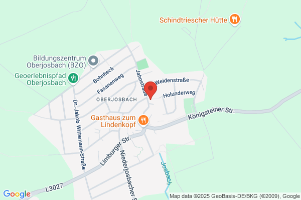 Renis Folienwerbung