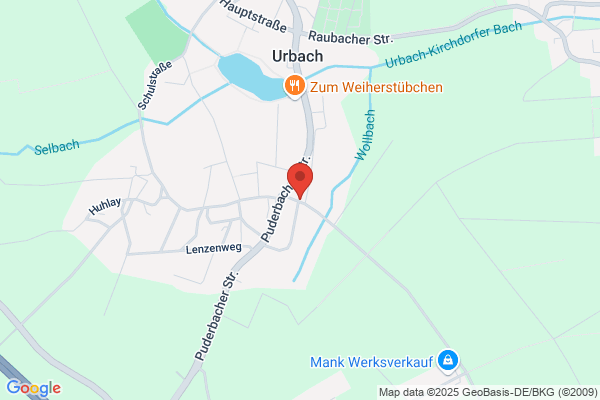 Die Fensterputzer