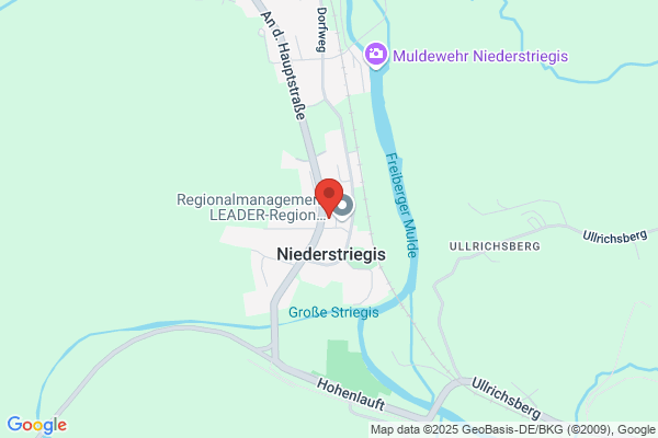 Freiwillige Feuerwehr Niederstriegis