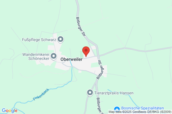 Werner Hommerding