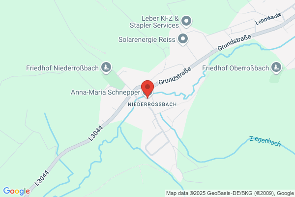 Schneider
