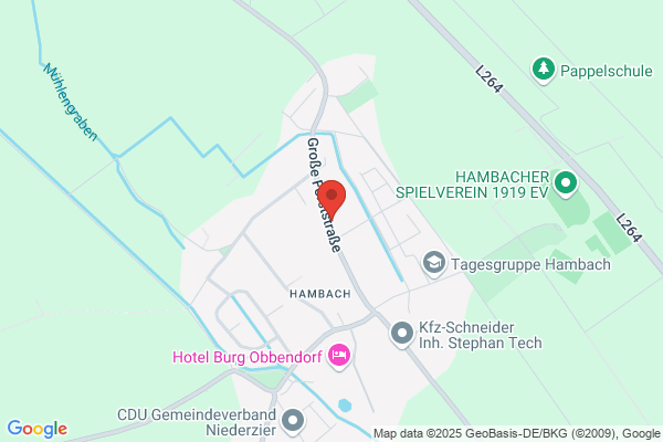 Hotel Häusgen Hambach