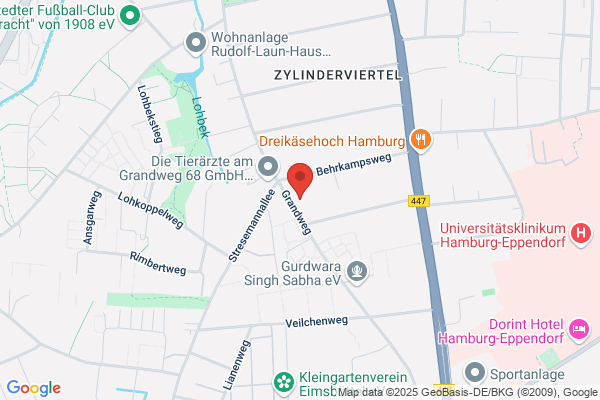 ars lingua Hohlfeld