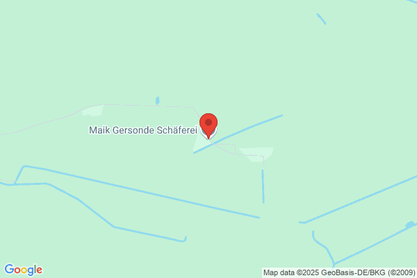 Maik Gersonde
