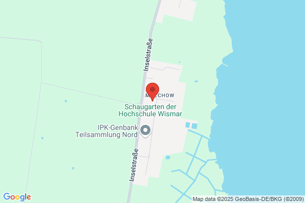 Npz Mv GmbH