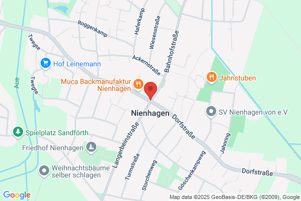 Zu den Birken