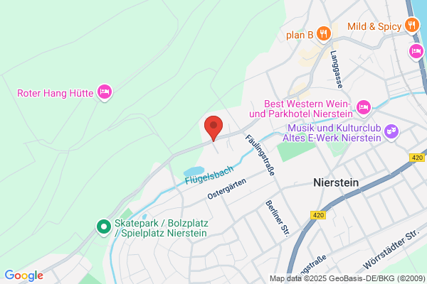 Medienservice Rheinhessen