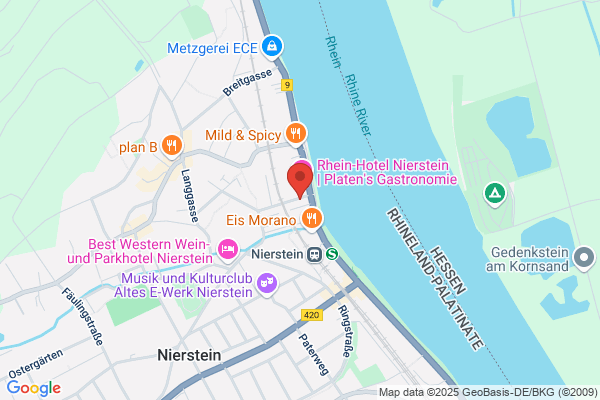 Hotel Alter Vater Rhein