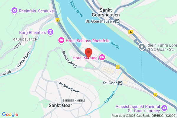 Rheinfelshalle