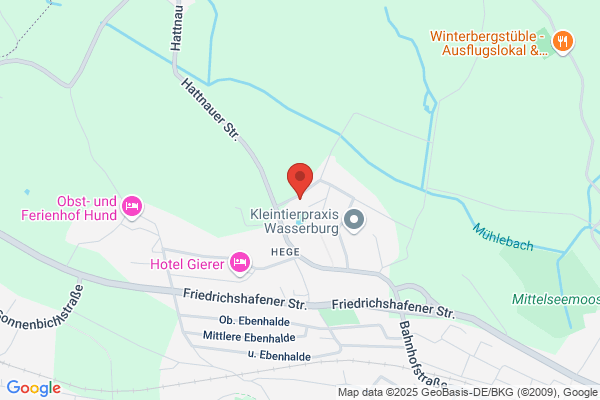Heraeus Kulzer GmbH & Co. KG