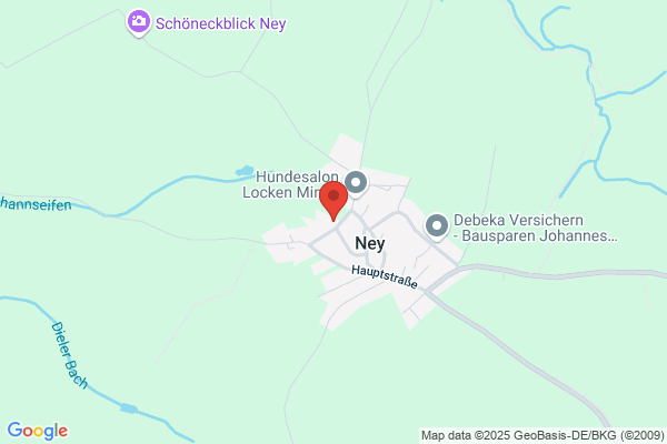 Liesenfeld