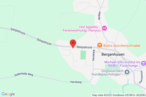 Autohaus Stien GmbH, Mazda-Vertragshändler