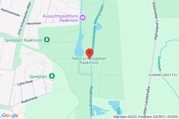 Raakmoor Handelsgesellschaft