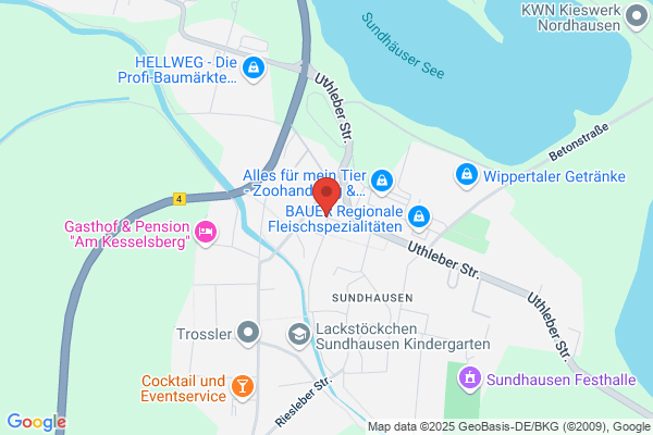 Heiner Querfurt - Maler Nordhausen