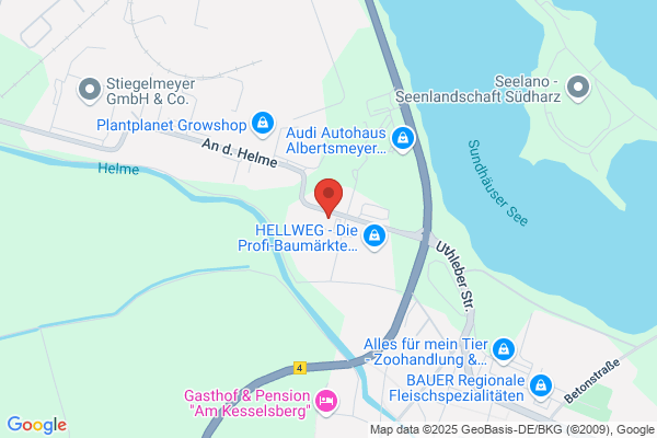 Umzüge Gogsch
