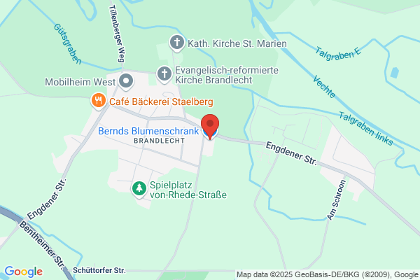 Blumen-Stockhorst