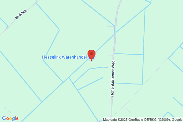 Dorothea Hesselink, Friedhelm