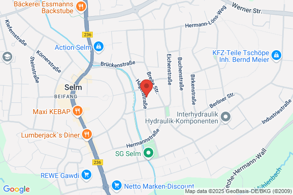 Bedachungen Volle